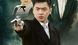 黑狐电视剧,谍影重重，暗战风云